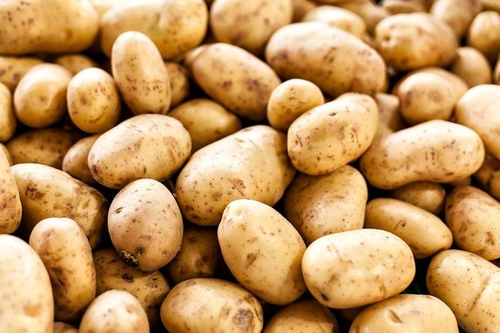 nieuwe aardappelen te koop, Diversen, Overige Diversen, Nieuw, Ophalen