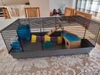 Volledig compleet kooi voor dwerg hamster ..., Dieren en Toebehoren, Ophalen, Zo goed als nieuw, Kooi, Hamster