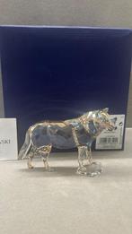 Swarovski SCS 2019 Grijze Wolf, Enlèvement ou Envoi, Neuf, Figurine