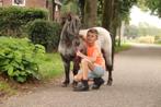 6j few spot merrie, Dieren en Toebehoren, Merrie, Niet van toepassing, A pony (tot 1.17m), 3 tot 6 jaar
