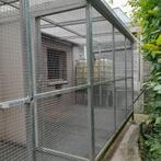 Duivenvolliere, Dieren en Toebehoren