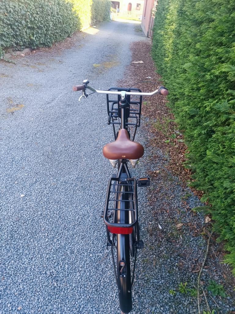 Omafiets, Ophalen, Handrem, Popal, 53 tot 56 cm