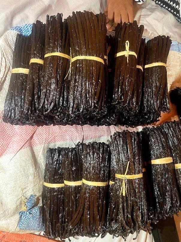 Vanille en vente directe de MADAGASCAR, Articles professionnels, Horeca | Food, Boulangerie et Pâtisserie, Enlèvement ou Envoi