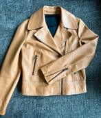 Massimo Dutti maat S, Vêtements | Femmes, Vestes & Costumes, Neuf, Enlèvement ou Envoi, Taille 36 (S), Brun