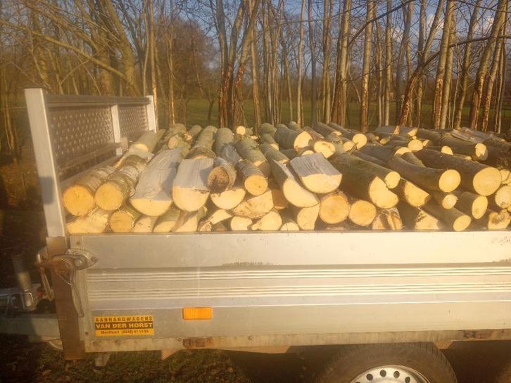 brandhout, Tuin en Terras, Brandhout, Blokken, Overige houtsoorten, 6 m³ of meer, Ophalen of Verzenden