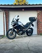 Triumph Tigre 1200 GT PRO, Motos, Permis Moto A, Tourisme, Entreprise, Plus de 35 kW