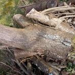 Bois a brûler, Jardin & Terrasse, Bois de chauffage, Enlèvement