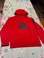 Hoodie met kap, Kinderen en Baby's, Kinderkleding | Maat 146, Ophalen, Zo goed als nieuw