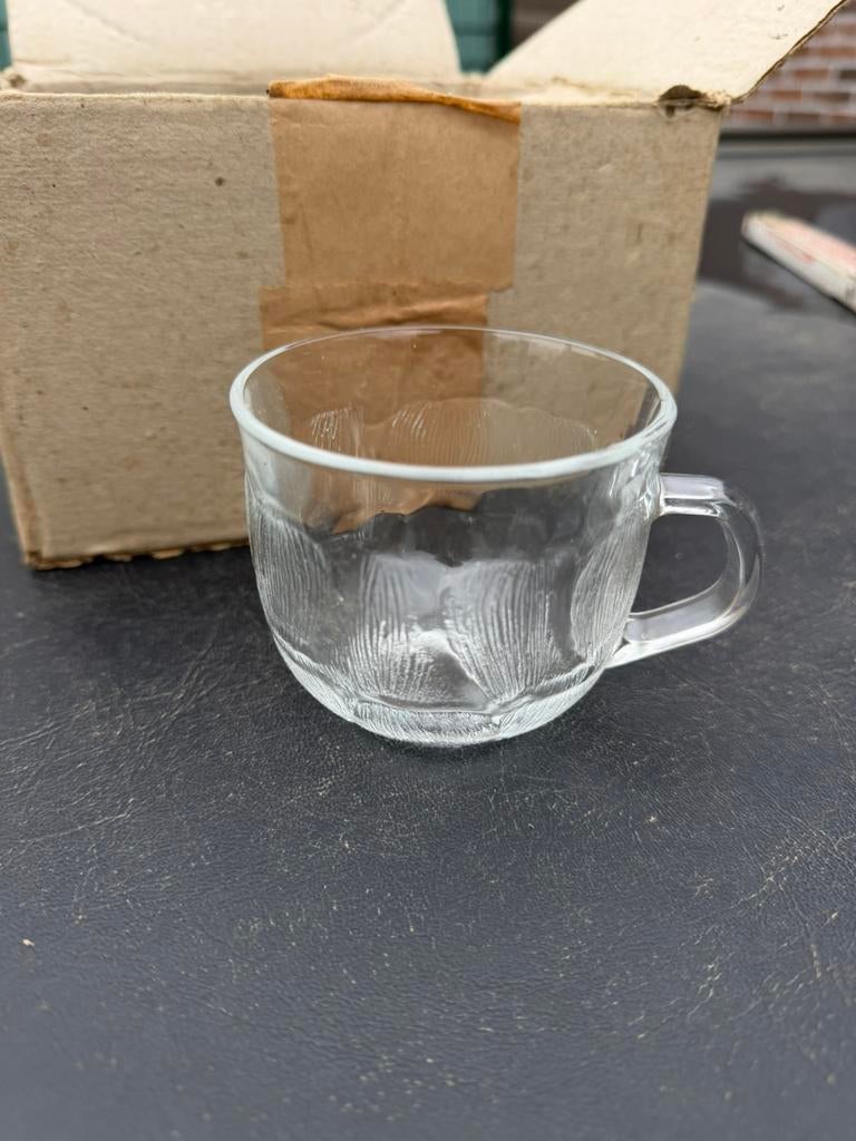 6 Arcoroc Frankrijk "Fleur" glazen, Ophalen, Zo goed als nieuw, Borrel- of Shotglas