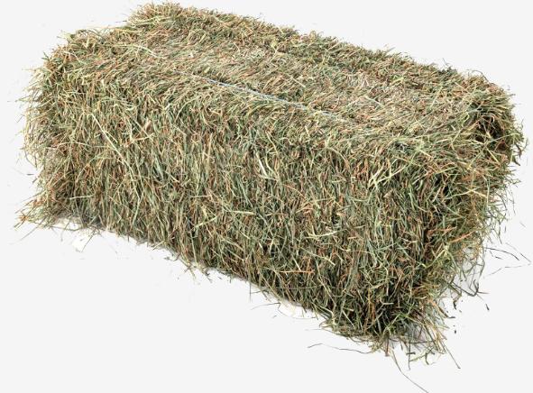 Petits ballots foins à 6210 Les Bons Villers, Enlèvement, Bétail