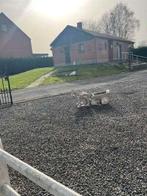 maison plain-pied, 1000 à 1500 m², Namur (ville), La bruyère, 3 pièces