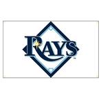 Grote vlaggen Rays Engineering (150x90cm), Ophalen of Verzenden, Nieuw