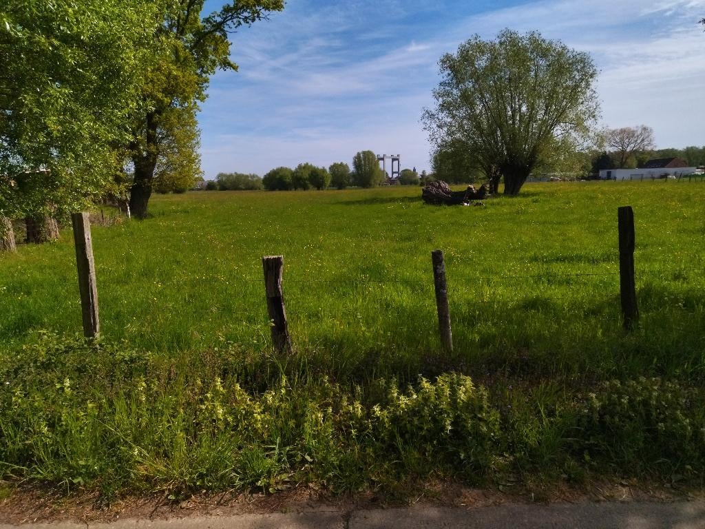 Prachtige weide te koop aan zeer voordelige prijs, Immo, Gronden en Bouwgronden, Wolvenweg, Verkoop zonder makelaar, 1500 m² of meer