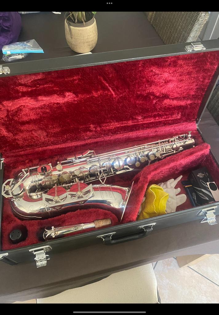 Alt sax Dolnet Vintage zilver, Muziek en Instrumenten, Blaasinstrumenten | Saxofoons, Ophalen of Verzenden, Zo goed als nieuw