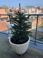 Grote stenen bloempot met spar, Enlèvement