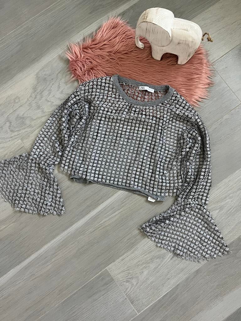 Zara top, Ophalen of Verzenden, Zo goed als nieuw, Maat 34 (XS) of kleiner