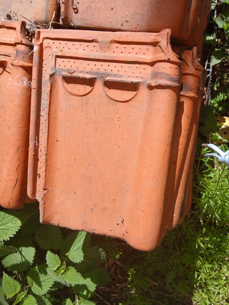 gratis Pottelbergse dakpannen, Doe-het-zelf en Bouw, Dakpannen en Dakbedekking, Ophalen, Dakpannen