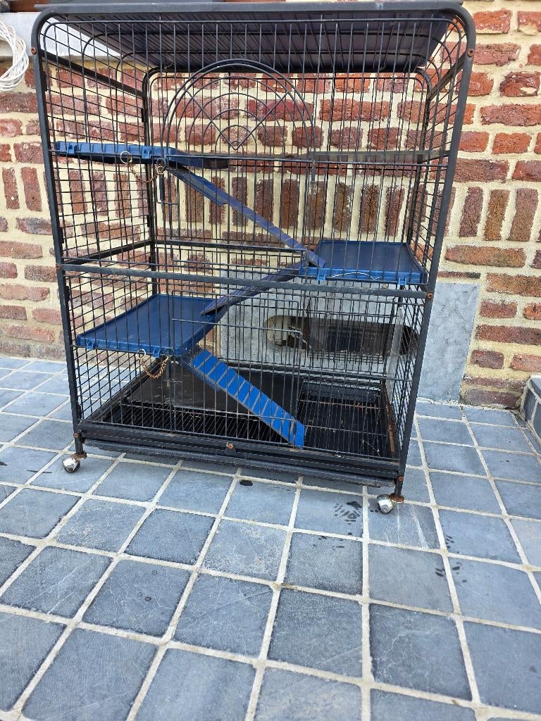 Cage pour lapin, Animaux & Accessoires, 75 à 110 cm, Cage, Enlèvement, Utilisé