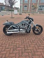 Superbe Harley-davidson v-rod spécial 14400km, Particulier