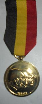 medaille NSB,FNC ,strijdersbond Vlaams Brabant, Enlèvement ou Envoi, Ruban, Médaille ou Ailes