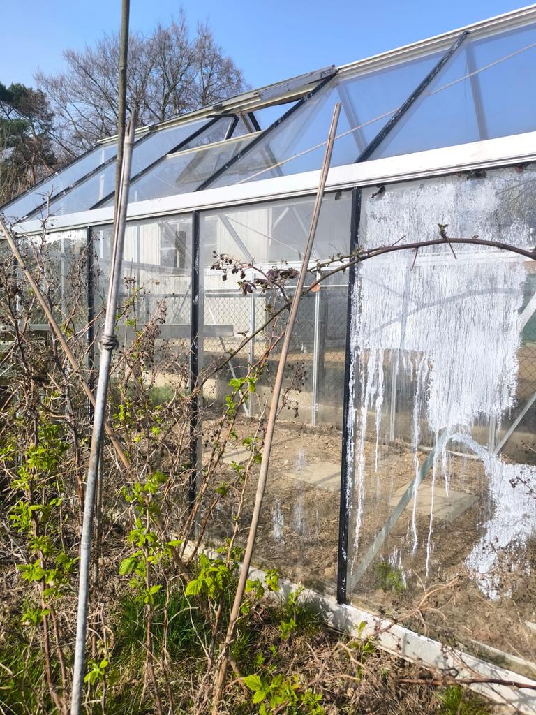 Serre Janssens Eos junior 9m2, Ophalen, Gebruikt, Kweekkas, Glas