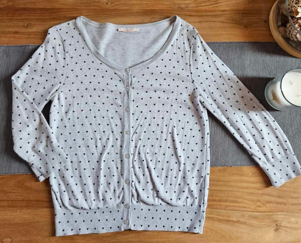 Gilet cardigan gris coeurs noirs Camaïeu taille M, Kleding | Dames, Truien en Vesten, Ophalen of Verzenden, Gedragen, Maat 38/40 (M)