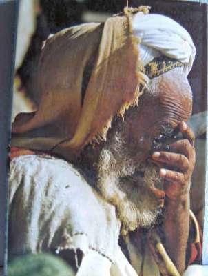 Artis boek - Marokko, Ophalen of Verzenden, Nieuw, Artis historia, Prentenboek