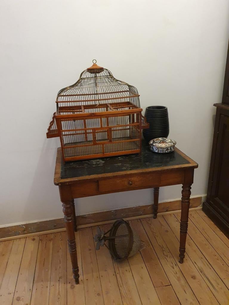 Antieke vogelkooi, Enlèvement