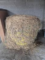 Ballot de paille à donner (se trouve a cul des Sarts), Enlèvement