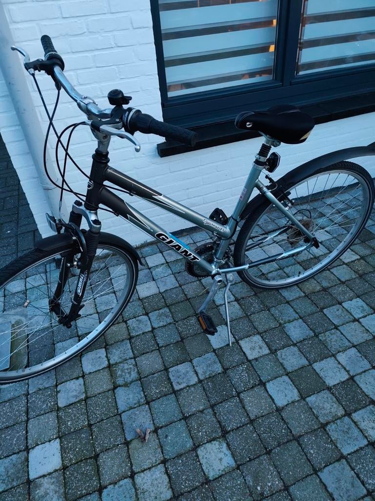 Damesfiets giant, Ophalen, Giant