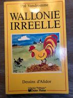 Wallonie irréelle, Pol Vandromme, Didier Hatier, 1986, Livres, Vandromme, Enlèvement ou Envoi