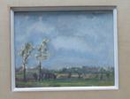 JACK GODDERIS / POLDERLANDSCHAP / OLIEVERF / 38x43cm / KADER, Antiek en Kunst, Ophalen of Verzenden