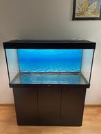 Aquarium Juwel Rio 350 + Eheim professionel 4+ 350, Animaux & Accessoires, Poissons | Aquariums & Accessoires, Enlèvement, Utilisé