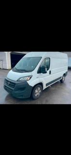 Fiat - 3000cm ane 2021  essense CNG impekqbble, Auto's, Bestelwagens en Lichte vracht, Particulier, Te koop, Fiat