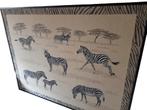 Zeer groot - Zebra's op de savanne, Huis en Inrichting, Ophalen, Overige typen, 125 cm of meer, Zo goed als nieuw