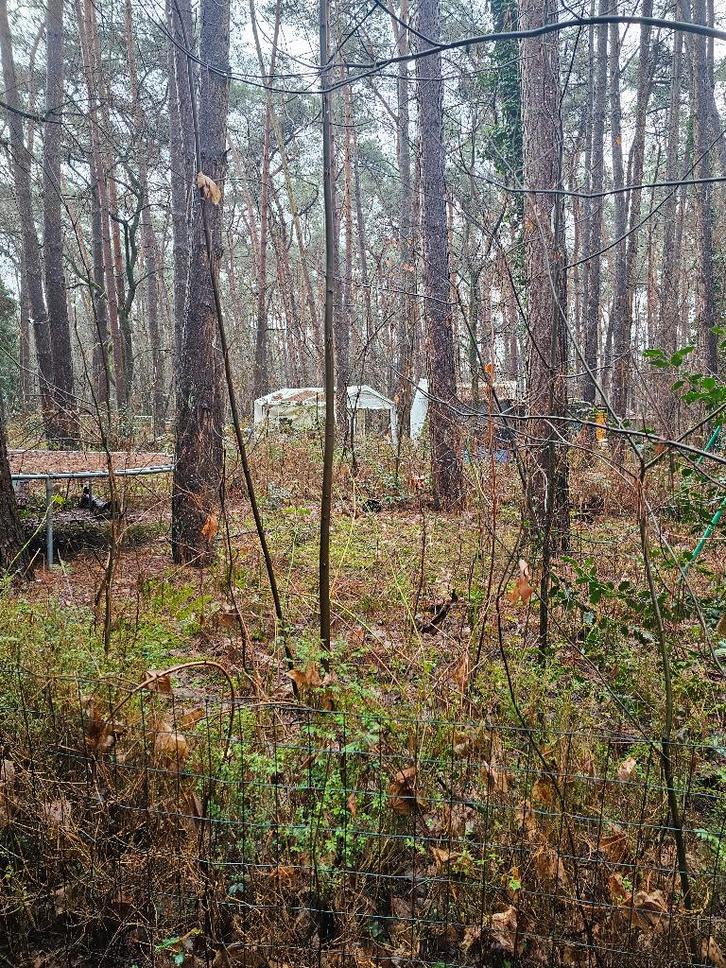 weekend(bos) grond, Immo, Buitenverblijven te koop, Turnhout, Overige soorten, Verkoop zonder makelaar