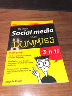 Jaap de Bruijn - De kleine social media voor Dummies, Livres, Informatique & Ordinateur, Jaap de Bruijn, Autres sujets/thèmes