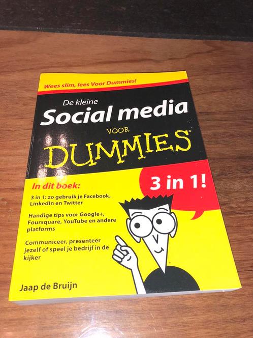 Jaap de Bruijn - De kleine social media voor Dummies, Livres, Informatique & Ordinateur, Neuf, Autres sujets/thèmes, Enlèvement ou Envoi