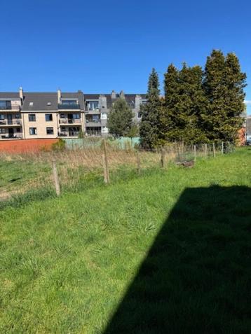 Te koop projectgrond in Hamme Centrum