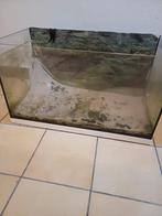 Open juwel aquarium 20x40x40, Dieren en Toebehoren, Vissen | Aquaria en Toebehoren, Ophalen