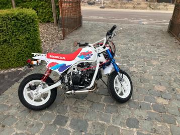 Honda Monkey Baja Replica 125cc beschikbaar voor biedingen