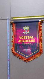 vaandel wimpel Deventer, Diversen, Vlaggen en Wimpels, Ophalen of Verzenden