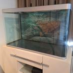 Aquarium 280 litres avec fenêtre incurvée et armoire, Comme neuf, Enlèvement