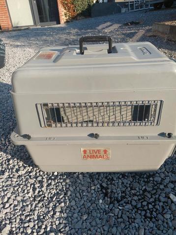 Cage de transport animaux petmale taille M beschikbaar voor biedingen