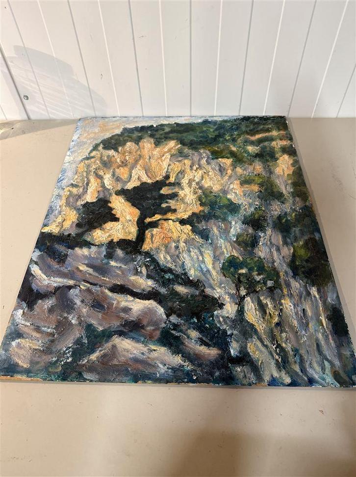 Schilderij zie fotos bos rots, Antiek en Kunst, Kunst | Schilderijen | Abstract, Ophalen of Verzenden