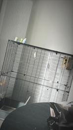 Cage + 4 perruches, Dieren en Toebehoren, Vogels | Hokken en Kooien, Ophalen of Verzenden, Zo goed als nieuw