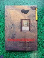 PANAMARENKO , A BOOK BY HANS THEYS, Boeken, HANS  THEYS, Ophalen of Verzenden, Zo goed als nieuw, Schilder- en Tekenkunst