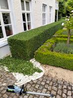 Tuin en klusjesman, Ophalen, Gras