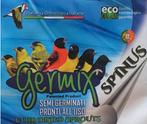Germix Siskins ( SPINUS ) 4kg Graine de germe, Enlèvement ou Envoi, Neuf