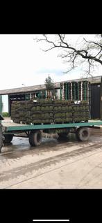 Graszoden op rol, zeer goede kwaliteit, Tuin en Terras, Nieuw, Ophalen of Verzenden